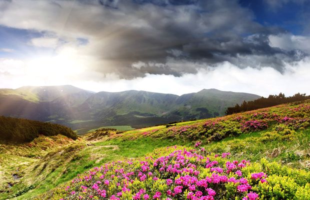 Alpine meadow below a ridgeline