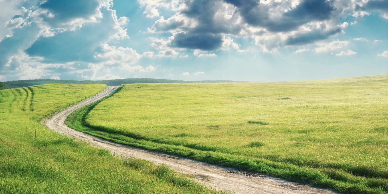A track running away across open ground